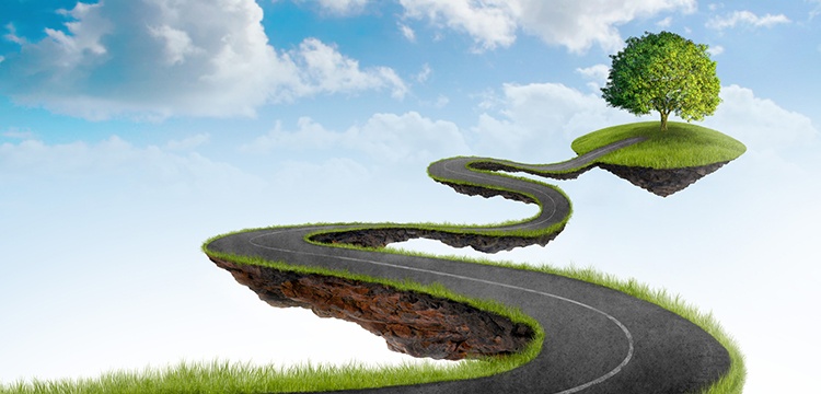 shared-vs-exclusive-tree-service-leads